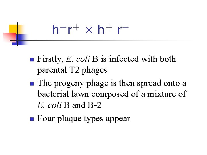 h-r+ × h+ r- n n n Firstly, E. coli B is infected with h-r+ × h+ r- n n n Firstly, E. coli B is infected with