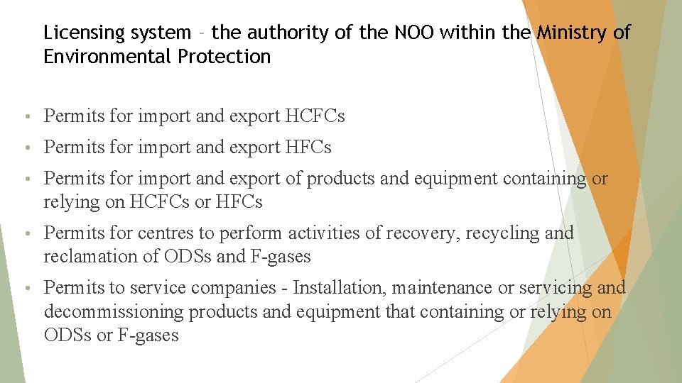 Licensing system - the authority of the NOO within the Ministry of Environmental Protection