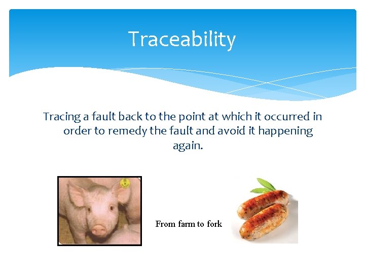Traceability Tracing a fault back to the point at which it occurred in order