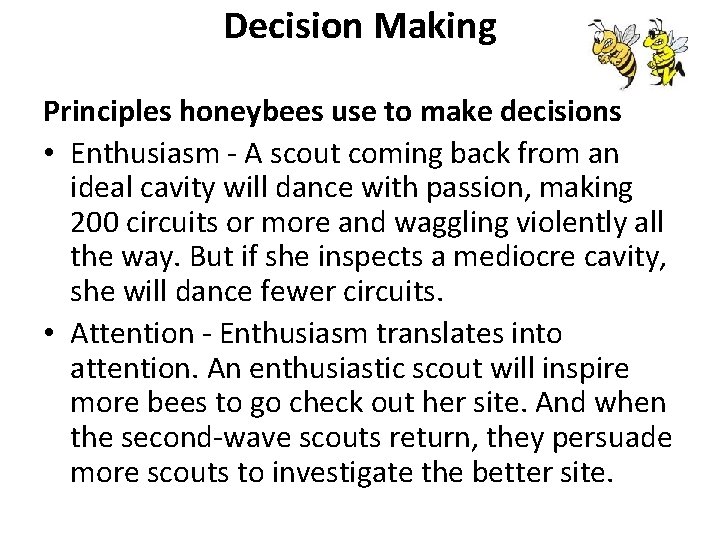 Decision Making Principles honeybees use to make decisions • Enthusiasm - A scout coming