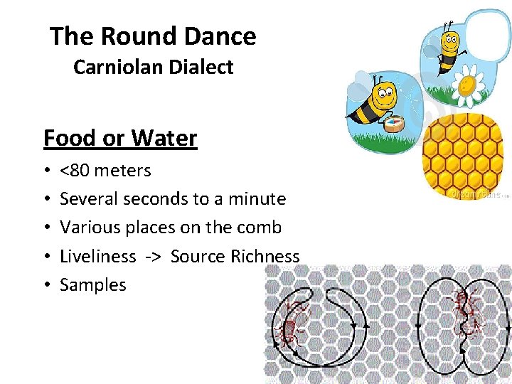 The Round Dance Carniolan Dialect Food or Water • • • <80 meters Several