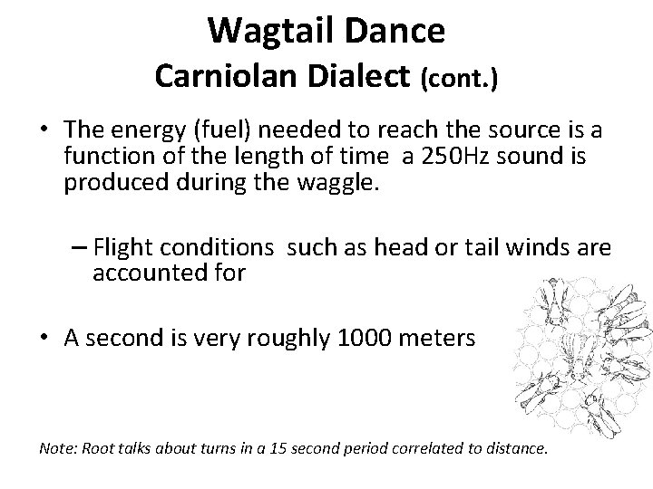 Wagtail Dance Carniolan Dialect (cont. ) • The energy (fuel) needed to reach the
