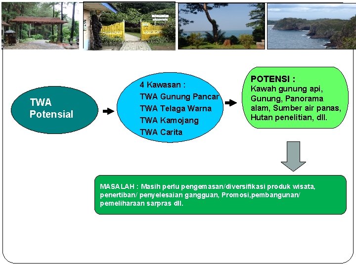 TWA Potensial 4 Kawasan : TWA Gunung Pancar TWA Telaga Warna TWA Kamojang POTENSI