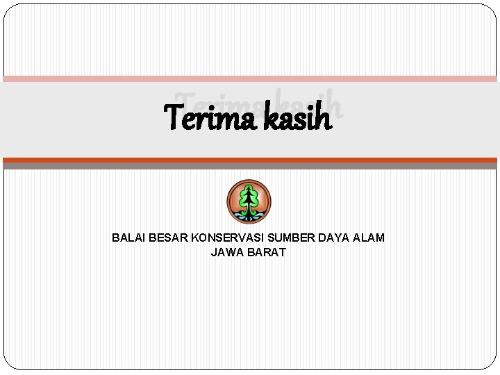 Terima kasih BALAI BESAR KONSERVASI SUMBER DAYA ALAM JAWA BARAT 