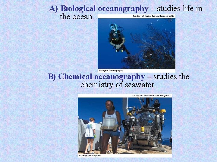 A) Biological oceanography – studies life in the ocean. B) Chemical oceanography – studies