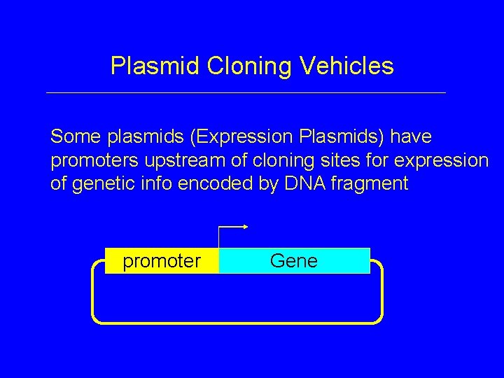 Plasmid Cloning Vehicles Some plasmids (Expression Plasmids) have promoters upstream of cloning sites for