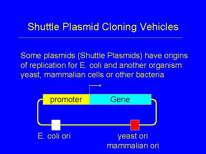 Shuttle Plasmid Cloning Vehicles Some plasmids (Shuttle Plasmids) have origins of replication for E.