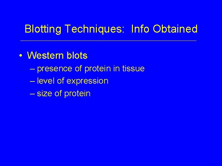 Blotting Techniques: Info Obtained • Western blots – presence of protein in tissue –