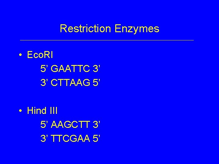 Restriction Enzymes • Eco. RI 5’ GAATTC 3’ 3’ CTTAAG 5’ • Hind III