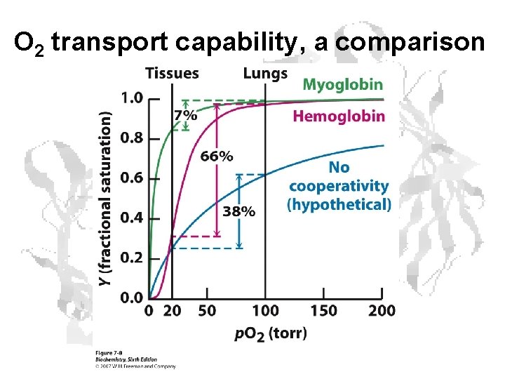 O 2 transport capability, a comparison O 2 transport capability, a comparison
