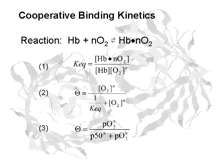 Cooperative Binding Kinetics Reaction: Hb + n. O 2 ⇌ Hb n. O 2 Cooperative Binding Kinetics Reaction: Hb + n. O 2 ⇌ Hb n. O 2