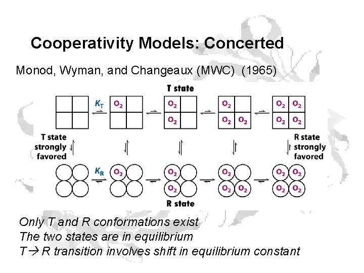 Cooperativity Models: Concerted Monod, Wyman, and Changeaux (MWC) (1965) Only T and R conformations