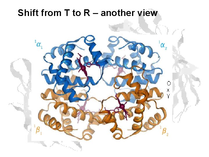 Shift from T to R – another view 