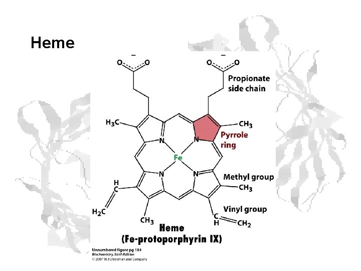 Heme Heme