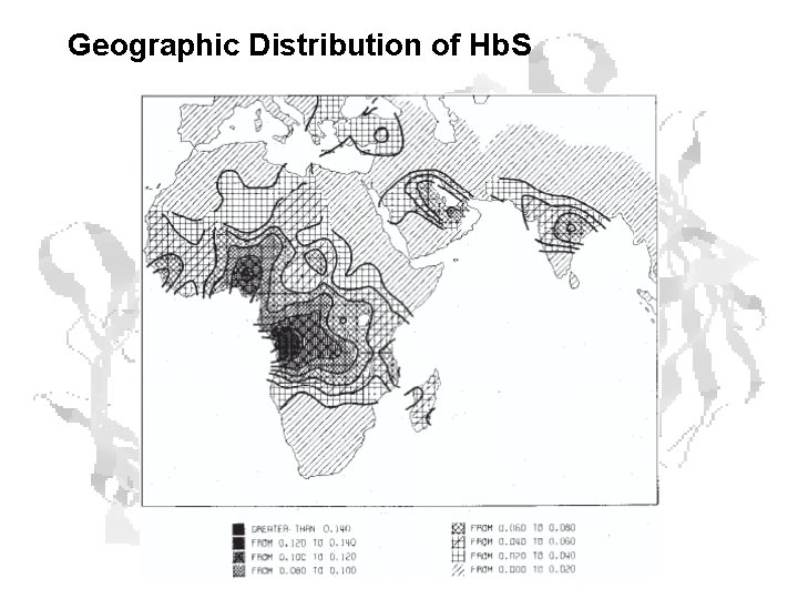 Geographic Distribution of Hb. S 