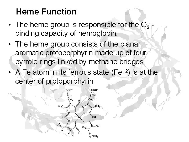 Heme Function • The heme group is responsible for the O 2 binding capacity