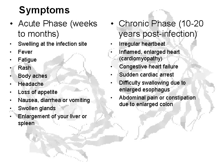 Symptoms • Acute Phase (weeks to months) • Chronic Phase (10 -20 years post-infection)