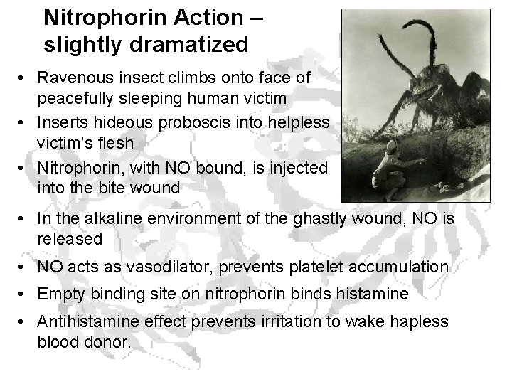Nitrophorin Action – slightly dramatized • Ravenous insect climbs onto face of peacefully sleeping Nitrophorin Action – slightly dramatized • Ravenous insect climbs onto face of peacefully sleeping
