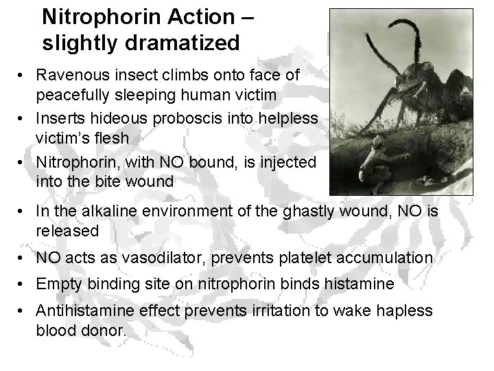 Nitrophorin Action – slightly dramatized • Ravenous insect climbs onto face of peacefully sleeping