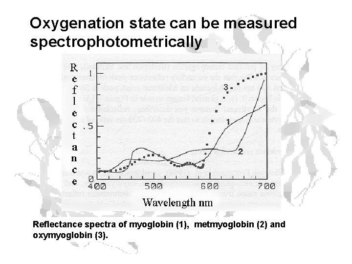 Oxygenation state can be measured spectrophotometrically Reflectance spectra of myoglobin (1), metmyoglobin (2) and Oxygenation state can be measured spectrophotometrically Reflectance spectra of myoglobin (1), metmyoglobin (2) and