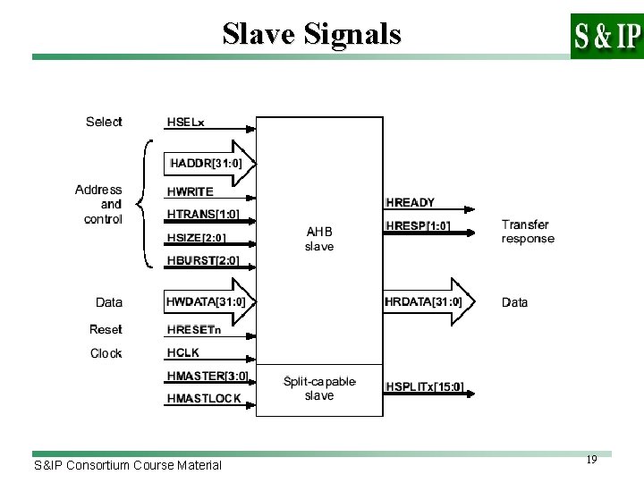 Slave Signals S&IP Consortium Course Material 19 