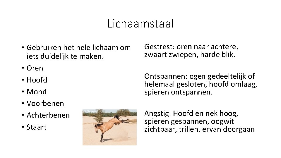 Lichaamstaal • Gebruiken het hele lichaam om iets duidelijk te maken. • Oren •