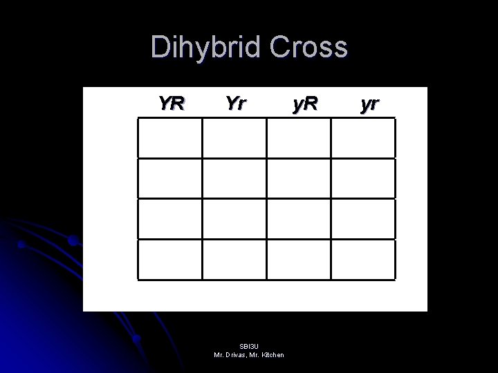 Dihybrid Cross YR Yr SBI 3 U Mr. Drivas, Mr. Kitchen y. R yr