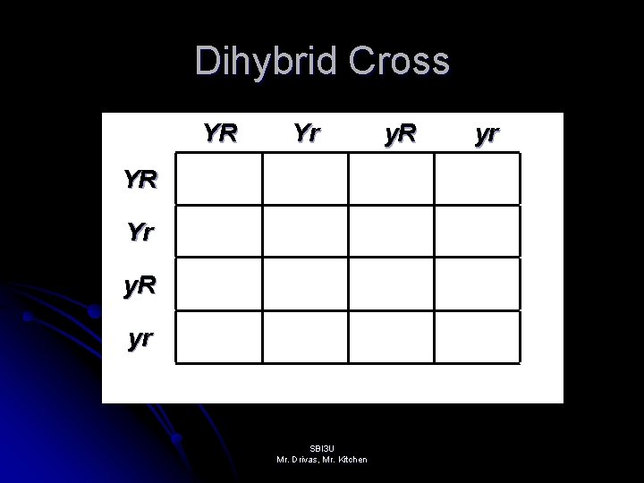 Dihybrid Cross YR Yr y. R yr SBI 3 U Mr. Drivas, Mr. Kitchen