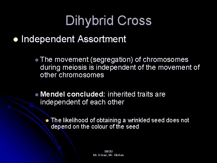 Dihybrid Cross l Independent Assortment l The movement (segregation) of chromosomes during meiosis is