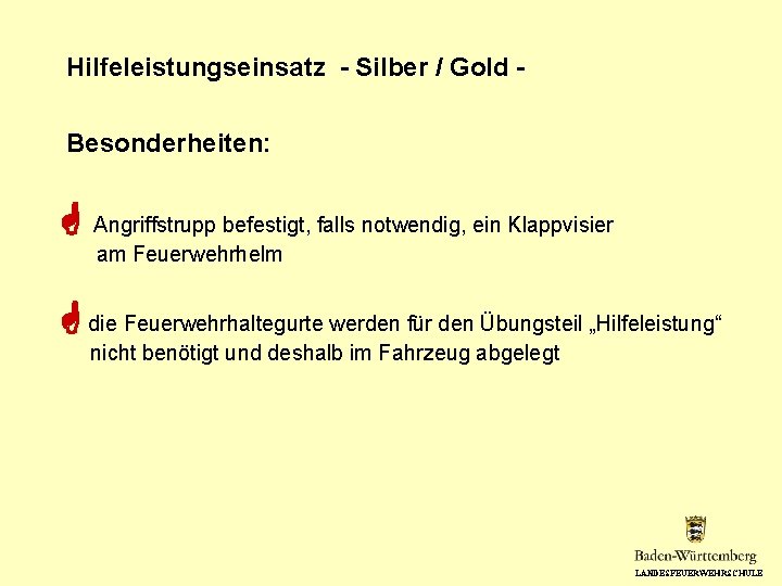 Hilfeleistungseinsatz - Silber / Gold Besonderheiten: Angriffstrupp befestigt, falls notwendig, ein Klappvisier am Feuerwehrhelm