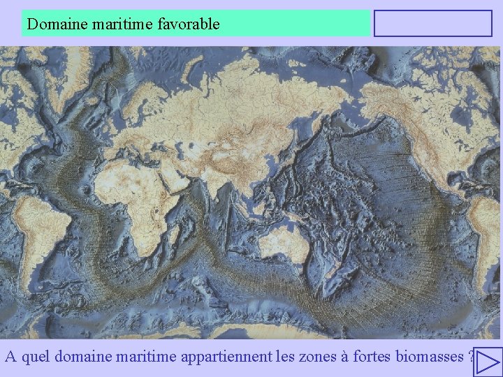 Domaine maritime favorable A quel domaine maritime appartiennent les zones à fortes biomasses ?