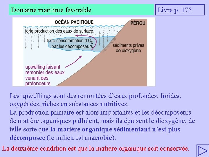 Domaine maritime favorable Livre p. 175 Les upwellings sont des remontées d’eaux profondes, froides,