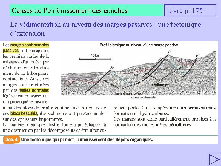 Causes de l’enfouissement des couches Livre p. 175 La sédimentation au niveau des marges