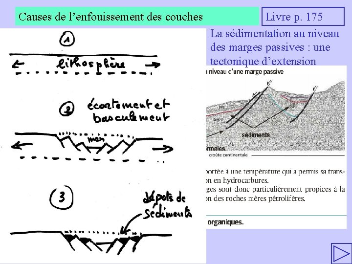 Causes de l’enfouissement des couches Livre p. 175 La sédimentation au niveau des marges
