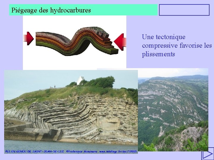 Piégeage des hydrocarbures Une tectonique compressive favorise les plissements 