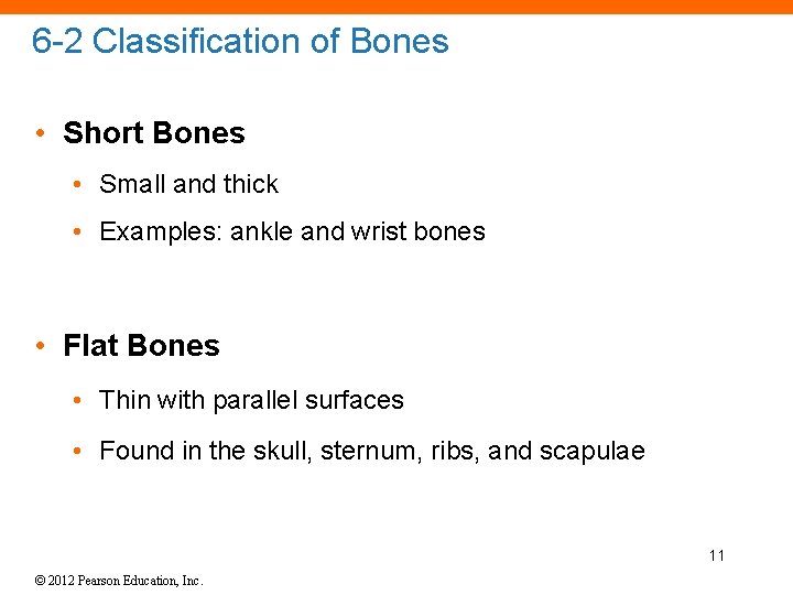 6 -2 Classification of Bones • Short Bones • Small and thick • Examples: