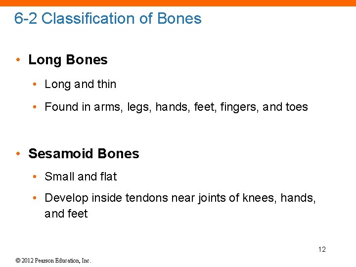 6 -2 Classification of Bones • Long and thin • Found in arms, legs,
