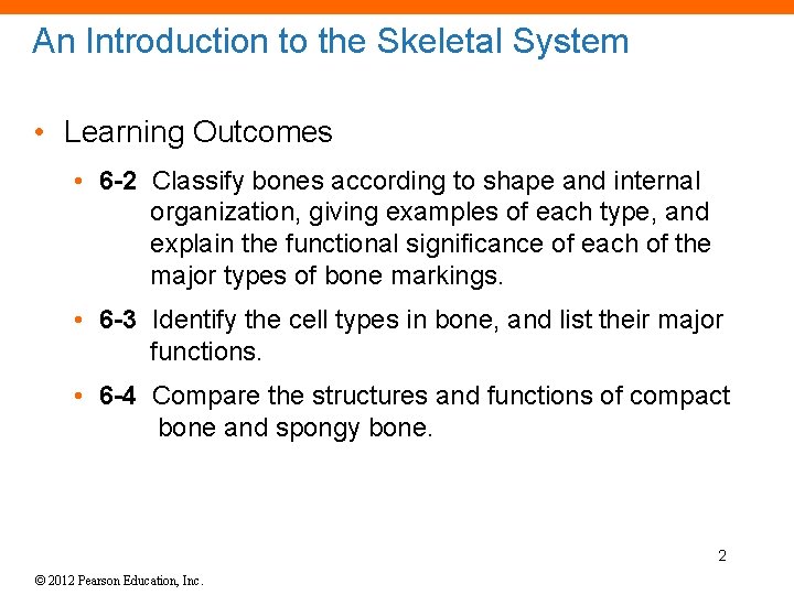 An Introduction to the Skeletal System • Learning Outcomes • 6 -2 Classify bones