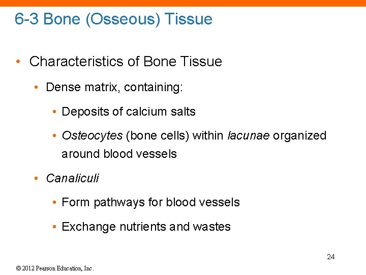 6 -3 Bone (Osseous) Tissue • Characteristics of Bone Tissue • Dense matrix, containing: