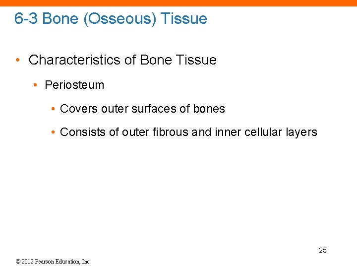 6 -3 Bone (Osseous) Tissue • Characteristics of Bone Tissue • Periosteum • Covers