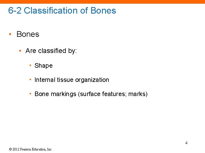 6 -2 Classification of Bones • Are classified by: • Shape • Internal tissue
