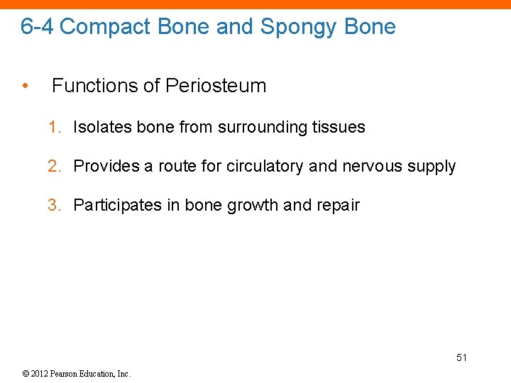 6 -4 Compact Bone and Spongy Bone • Functions of Periosteum 1. Isolates bone