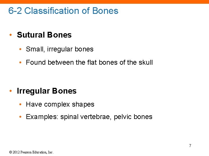 6 -2 Classification of Bones • Sutural Bones • Small, irregular bones • Found