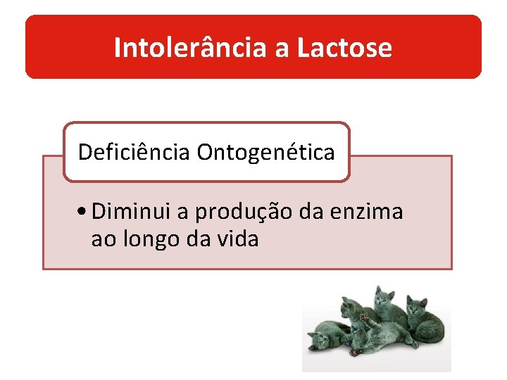 Intolerância a Lactose Deficiência Ontogenética • Diminui a produção da enzima ao longo da