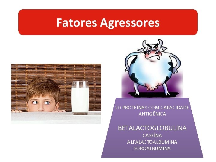 Fatores Agressores 20 PROTEÍNAS COM CAPACIDADE ANTIGÊNICA BETALACTOGLOBULINA CASEÍNA ALFALACTOALBUMINA SOROALBUMINA 