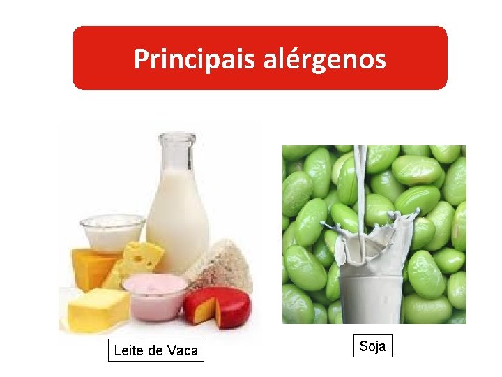 Principais alérgenos Leite de Vaca Soja 