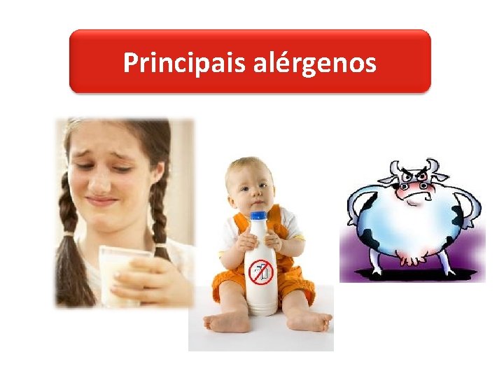 Principais alérgenos 
