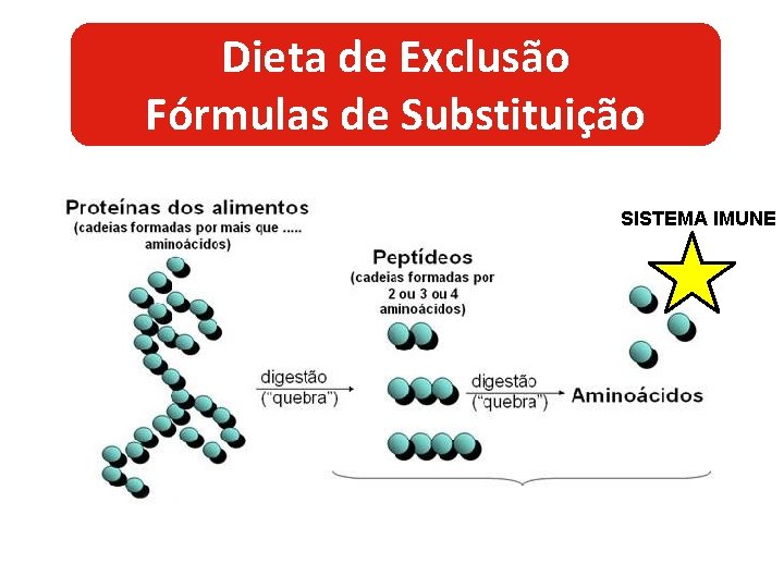 Dieta de Exclusão Fórmulas de Substituição SISTEMA IMUNE 
