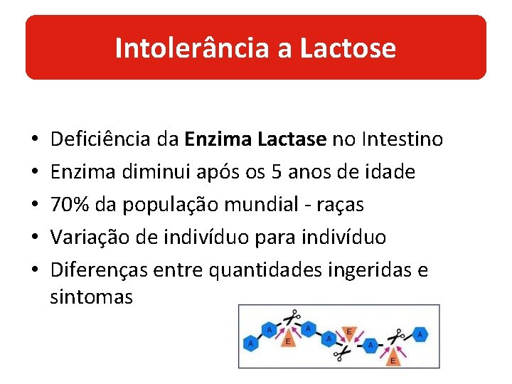 Intolerância a Lactose • • • Deficiência da Enzima Lactase no Intestino Enzima diminui