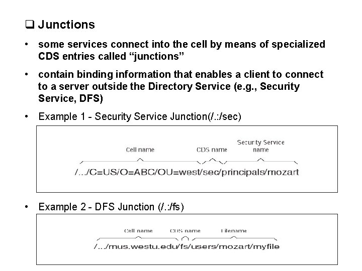 q Junctions • some services connect into the cell by means of specialized CDS
